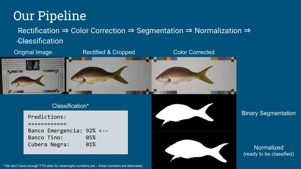 Our classification pipeline.