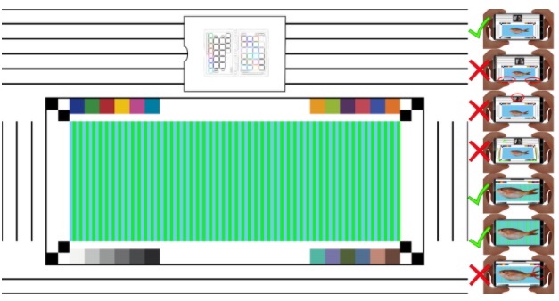 Our classification pipeline.